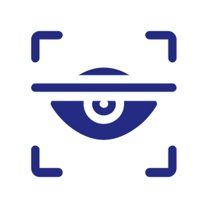 Vision